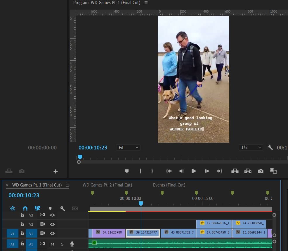 One of my three assigned video projects for Wonder Dog Training & Games.