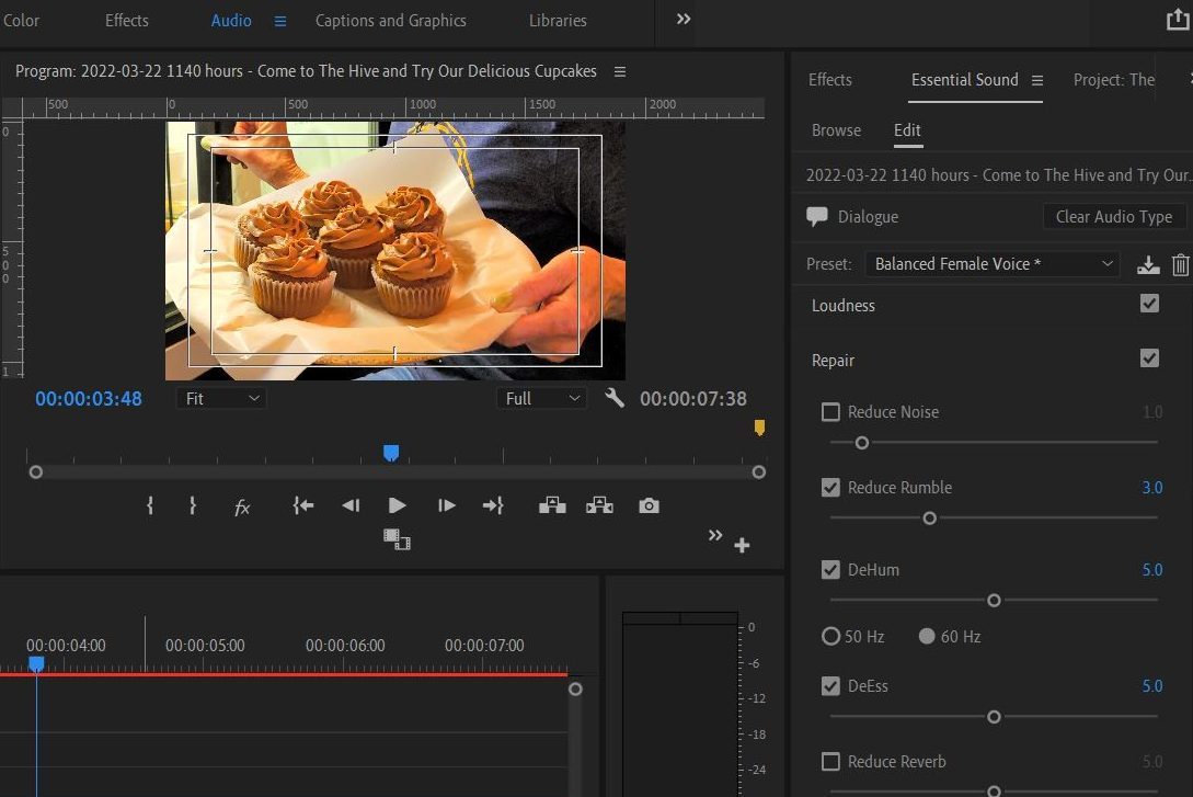 2022-03-30 1353 hours (Modifying the Audio of the Video about The Hive's Cupcakes)