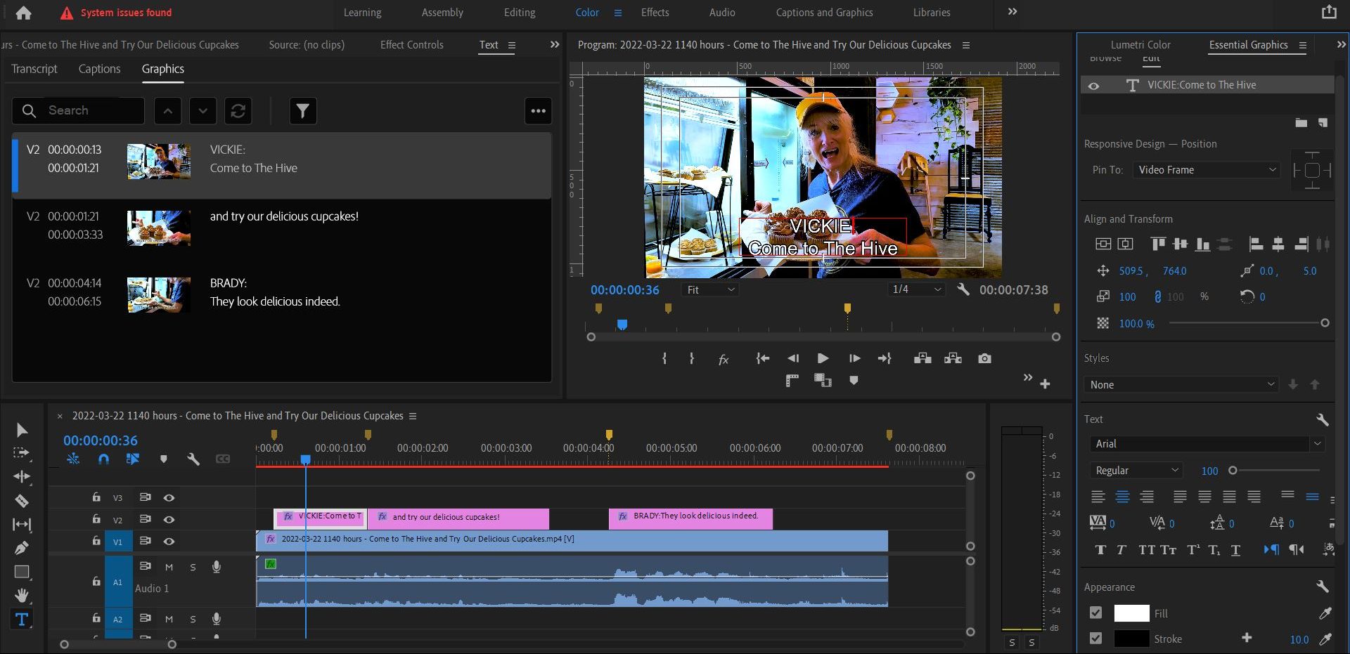 2022-03-30 1431 hours (Inserting Subtitles on the Video about The Hive's Cupcakes)