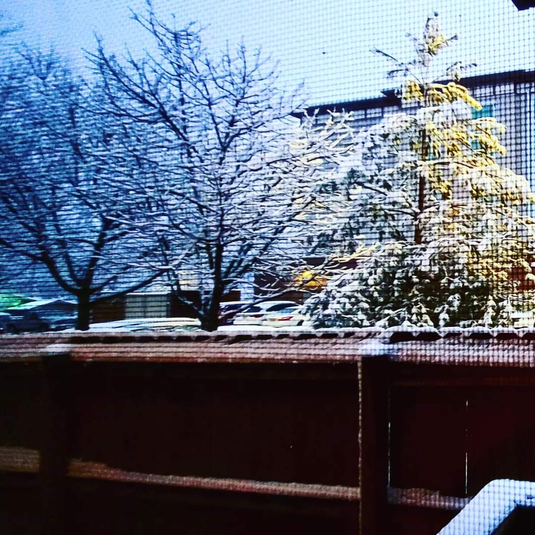 2023-01-25 0711 hours - Pretty view outside my apartment this morning