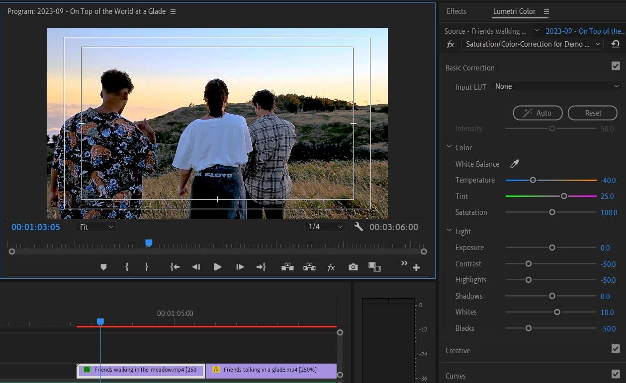 2023-09-08 1858 hours (Trial and Error Color-Correcting Saturated Shot 'Friends walking in the meadow')