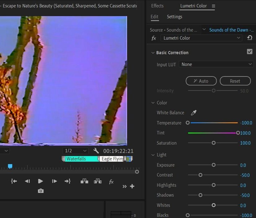 2024-05-24 1322 hours (Color-Corrected Shot of Tree Branches to Make Sky Color More Realistic)