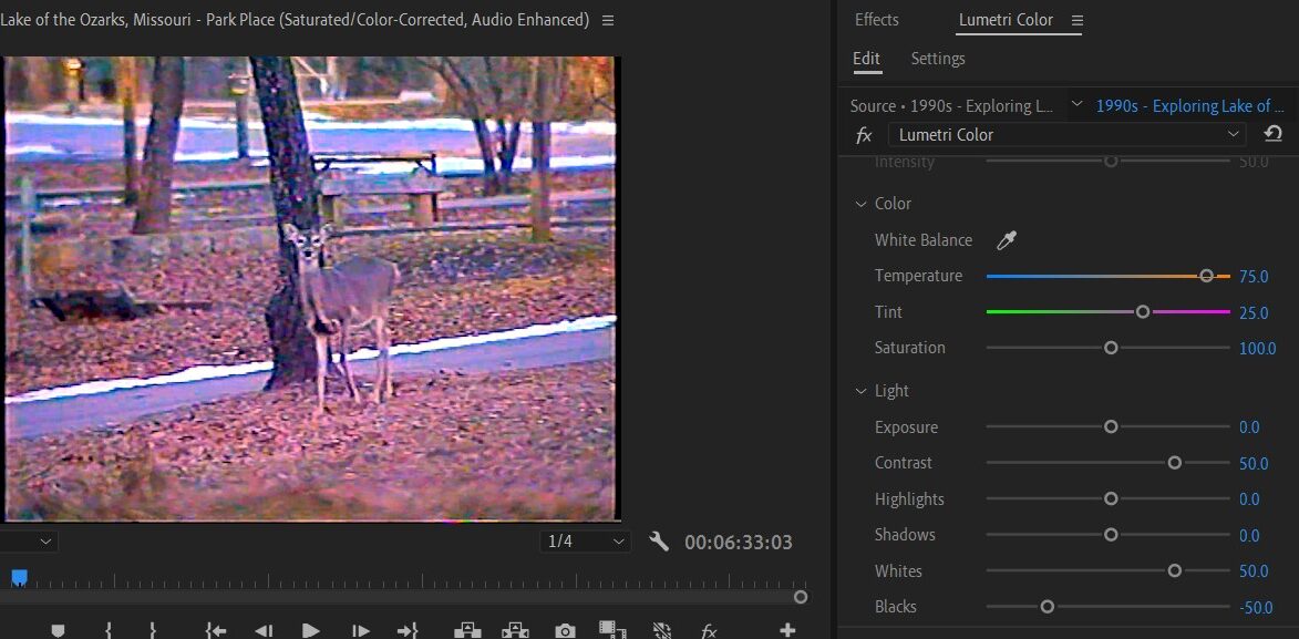 2024-07-19 1247 hours (Color-Correcting Shot of Deer to Appear Realistic)