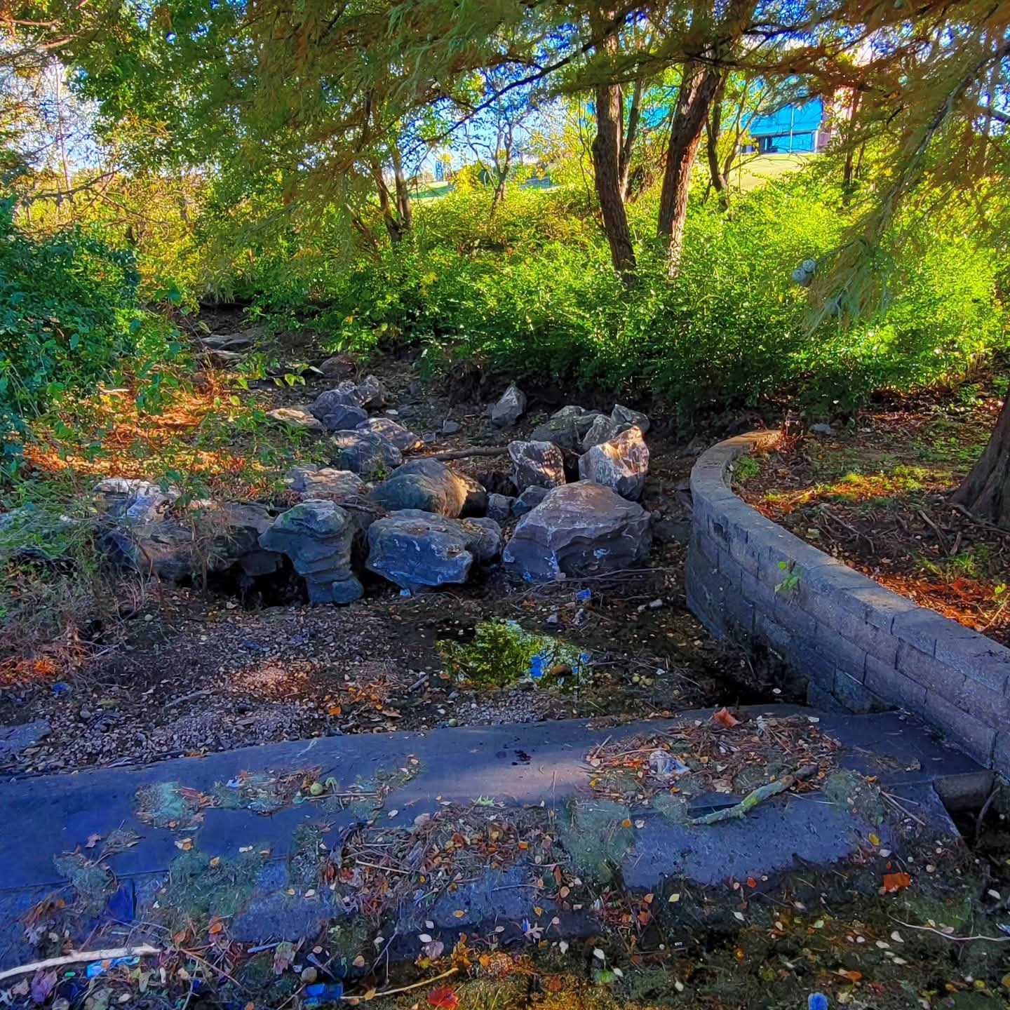 2025-11-03 1517 hours - Stormwater Runoff Area at Schaible Lake Park