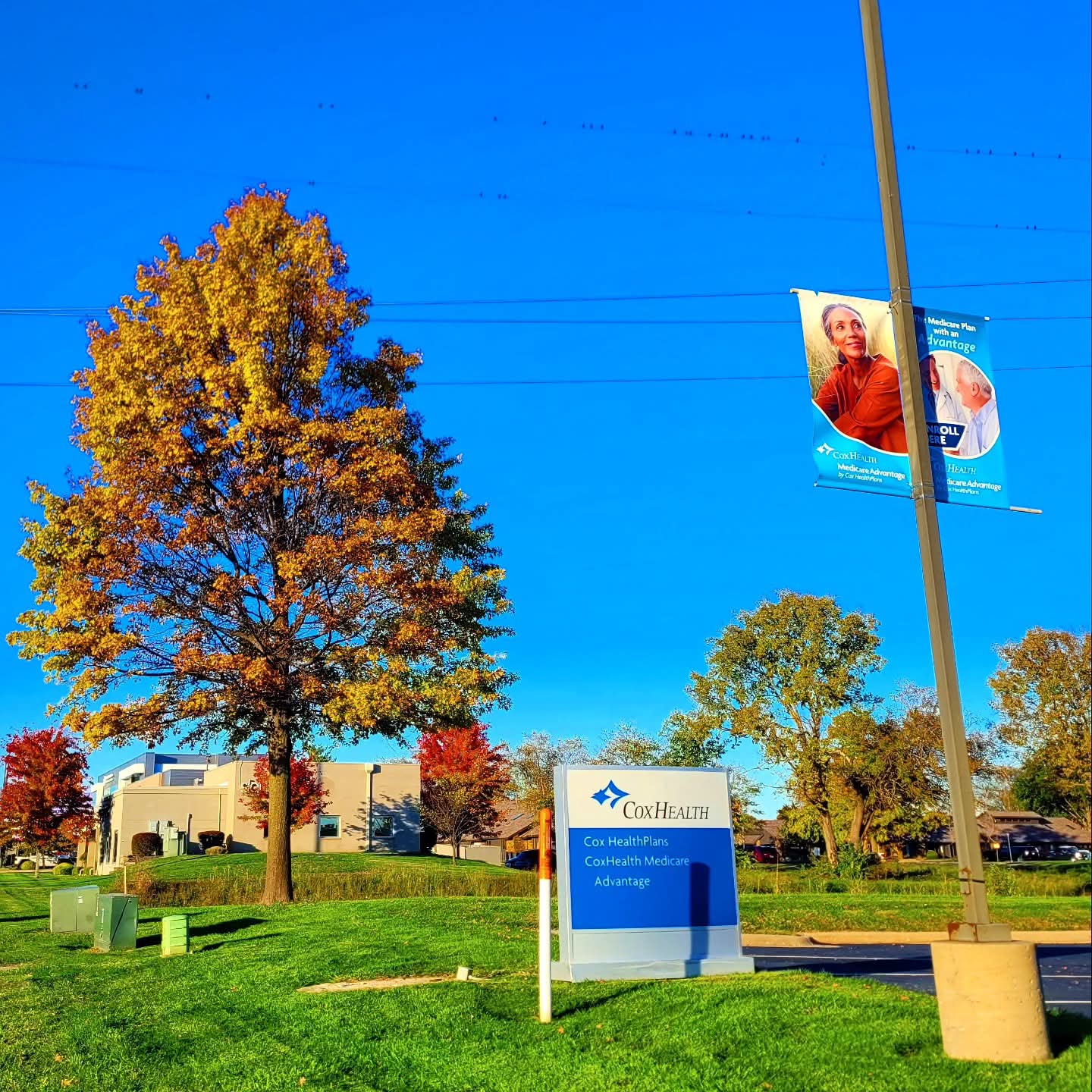 2025-11-03 1615 hours - Orange Tree next to CoxHealth Signs on the Bradford Park side of National Avenue